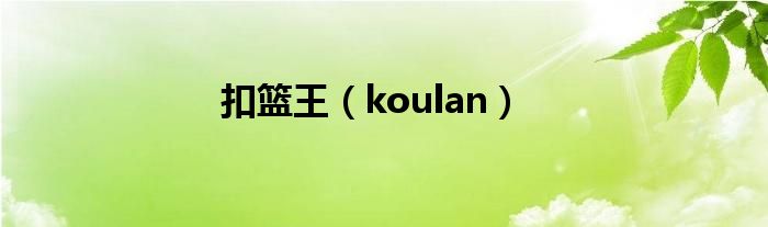 扣篮王（koulan）