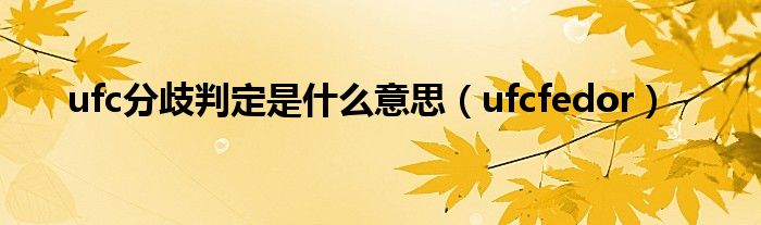 ufc分歧判定是是什么意思（ufcfedor）