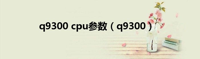 q9300 cpu参数（q9300）