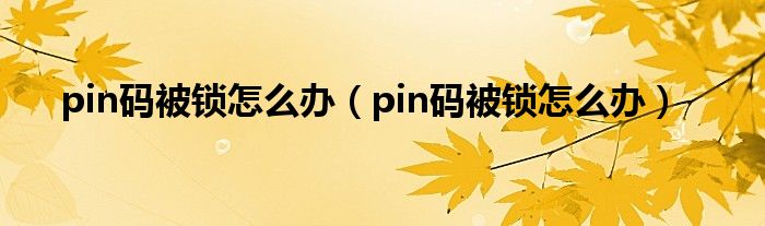 pin码被锁怎么办（pin码被锁怎么办）