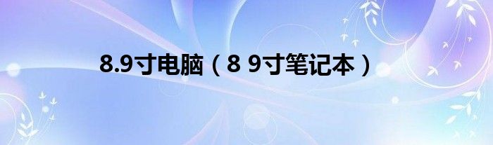 8.9寸电脑（8 9寸笔记本）