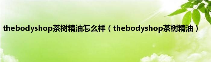 thebodyshop茶树精油怎么样（thebodyshop茶树精油）