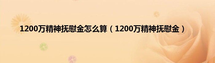 1200万精神抚慰金怎么算（1200万精神抚慰金）