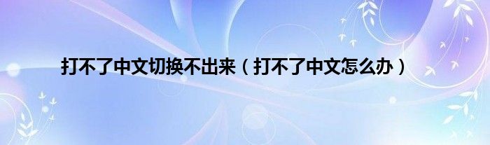 打不了中文切换不出来（打不了中文怎么办）