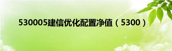 530005建信优化配置净值（5300）