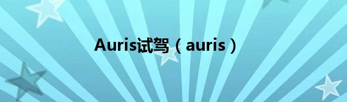 Auris试驾（auris）