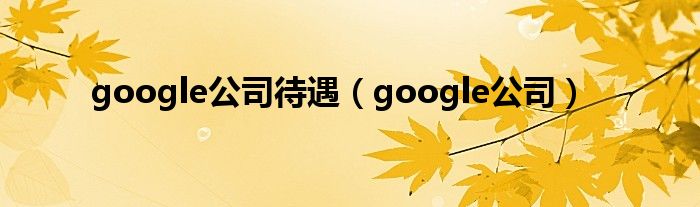 google公司待遇（google公司）