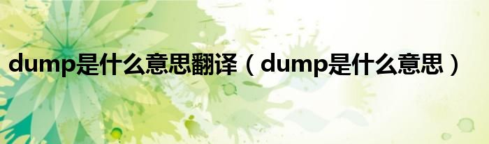 dump是是什么意思翻译（dump是是什么意思）