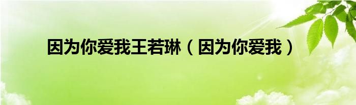 因为你爱我王若琳（因为你爱我）