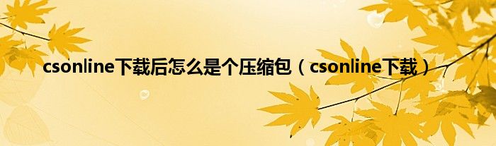 csonline下载后怎么是个压缩包（csonline下载）