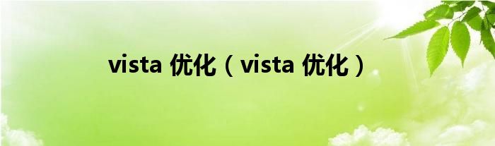 vista 优化（vista 优化）