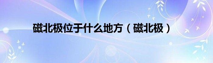 磁北极位于是什么地方（磁北极）