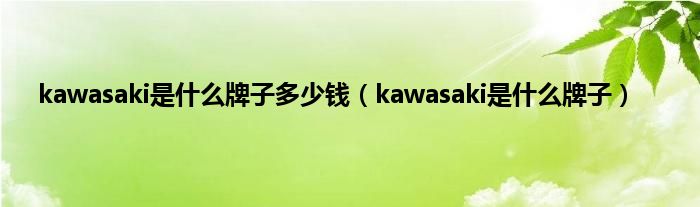 kawasaki是是什么牌子多少钱（kawasaki是是什么牌子）