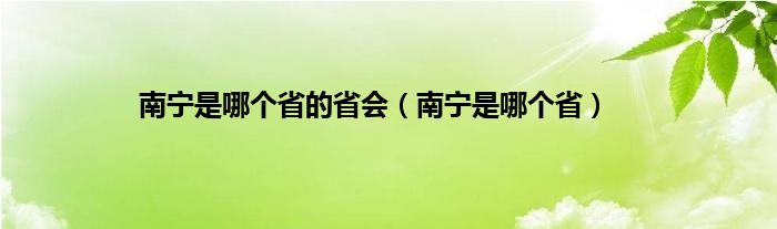 南宁是哪个省的省会（南宁是哪个省）