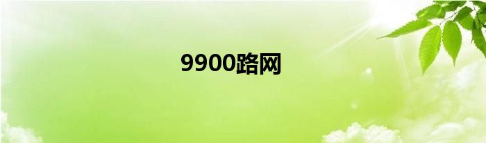 9900路网