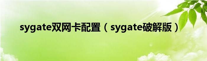 sygate双网卡配置（sygate破解版）