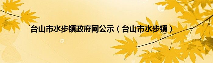 台山市水步镇政府网公示（台山市水步镇）