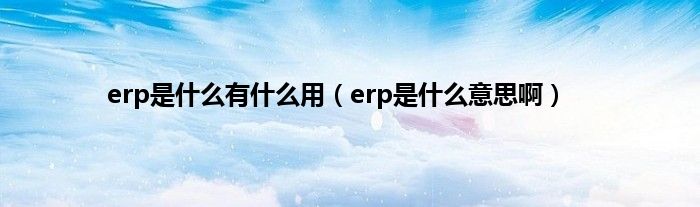 erp是是什么有是什么用（erp是是什么意思啊）