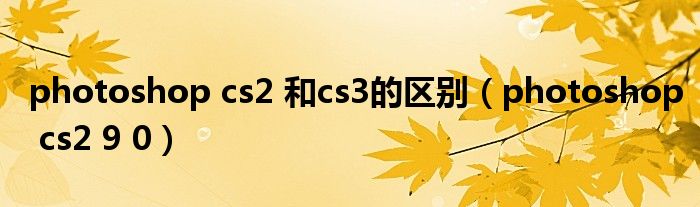 photoshop cs2 和cs3的区别（photoshop cs2 9 0）