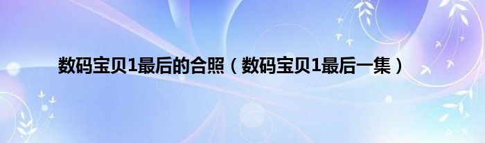 数码宝贝1最后的合照（数码宝贝1最后一集）