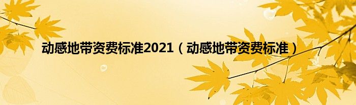 动感地带资费标准2021（动感地带资费标准）