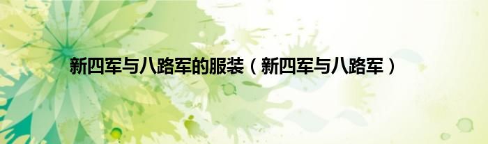 新四军与八路军的服装（新四军与八路军）