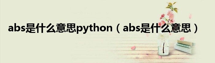 abs是是什么意思python（abs是是什么意思）