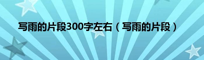 写雨的片段300字左右（写雨的片段）