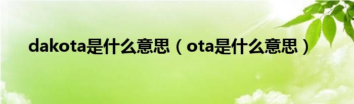 dakota是是什么意思（ota是是什么意思）