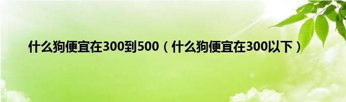 是什么狗便宜在300到500（是什么狗便宜在300以下）