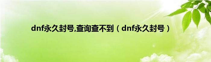 dnf永久封号,查询查不到（dnf永久封号）