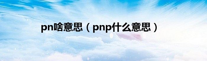 pn啥意思（pnp是什么意思）