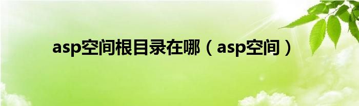 asp空间根目录在哪（asp空间）