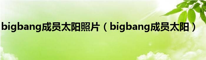 bigbang成员太阳照片（bigbang成员太阳）