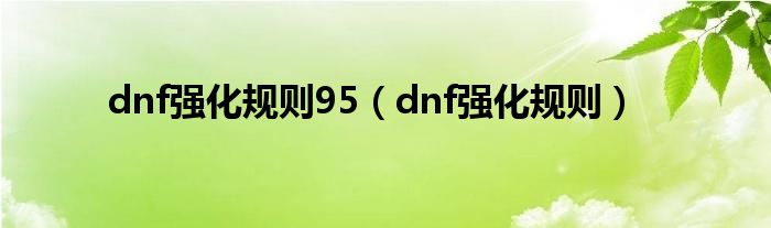 dnf强化规则95（dnf强化规则）