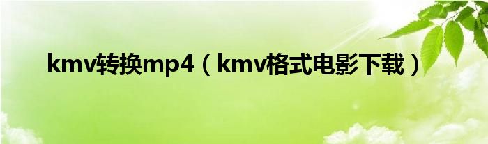 kmv转换mp4（kmv格式电影下载）