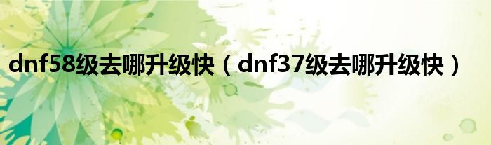 dnf58级去哪升级快（dnf37级去哪升级快）