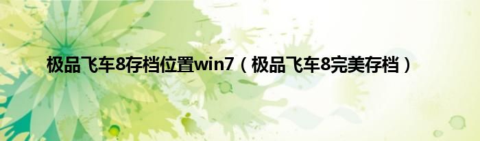 极品飞车8存档位置win7（极品飞车8完美存档）