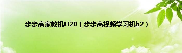 步步高家教机H20（步步高视频学习机h2）