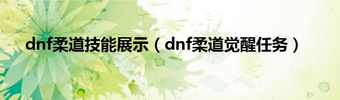 dnf柔道技能展示（dnf柔道觉醒任务）