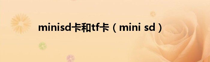 minisd卡和tf卡（mini sd）