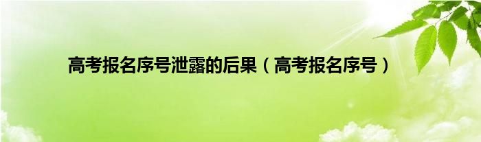 高考报名序号泄露的后果（高考报名序号）