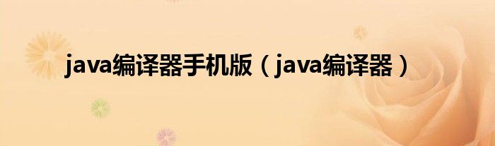 java编译器手机版（java编译器）