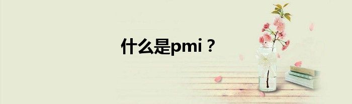 是什么是pmi？