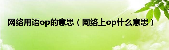 网络用语op的意思（网络上op是什么意思）