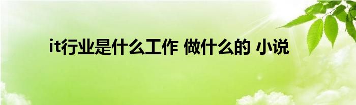 it行业是是什么工作 做是什么的 小说