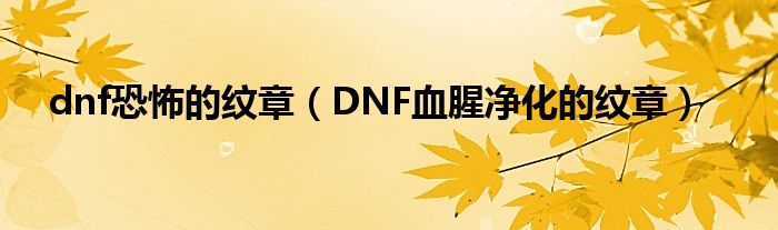 dnf恐怖的纹章（DNF血腥净化的纹章）