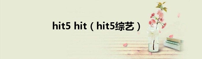 hit5 hit（hit5综艺）