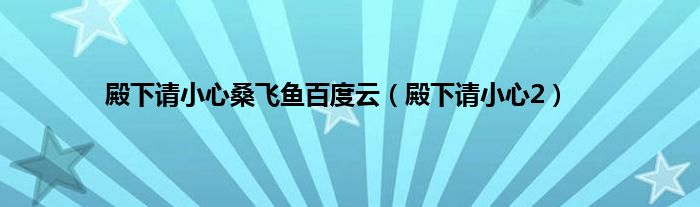 殿下请小心桑飞鱼百度云（殿下请小心2）