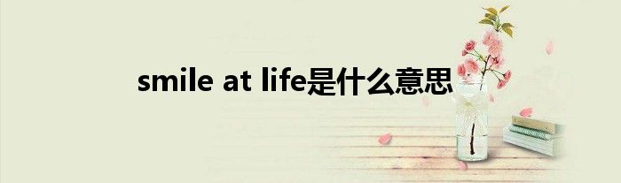 smile at life是是什么意思